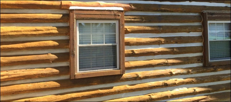 Log Home Whole Log Replacement  Peach County, Georgia